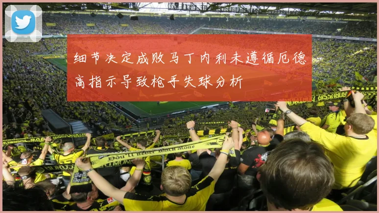 细节决定成败马丁内利未遵循厄德高指示导致枪手失球分析